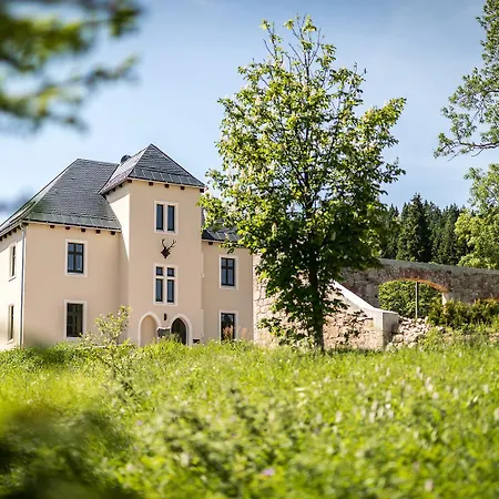 Ferienapartments Foersterei アパート アイベンシュトック