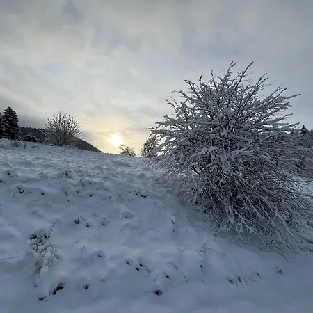 아파트 Ferienapartments Foersterei Eibenstock