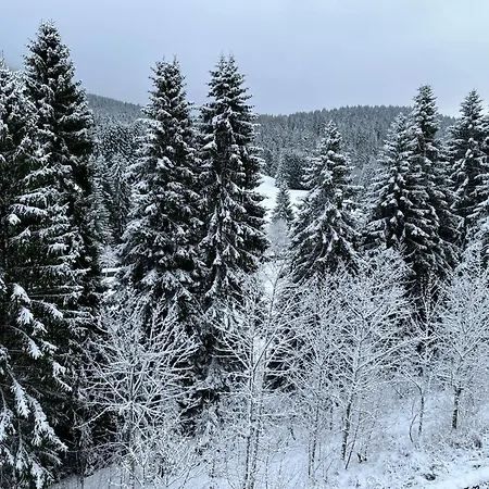 Ferienapartments Foersterei Eibenstock * 아이벤슈토크