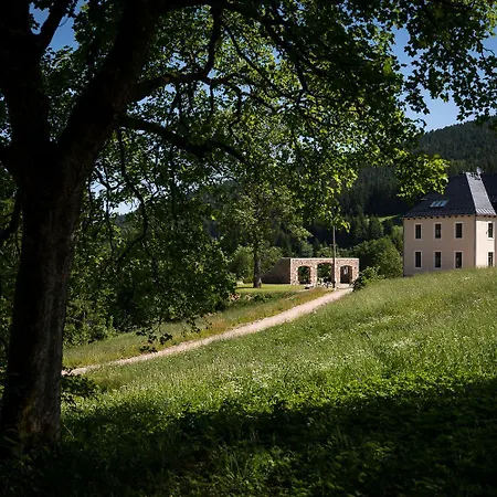 アパート Ferienapartments Foersterei アイベンシュトック