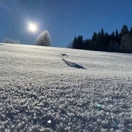 アパート Ferienapartments Foersterei *