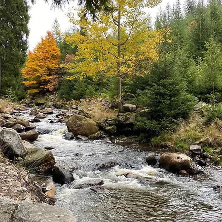 Ferienapartments Foersterei *