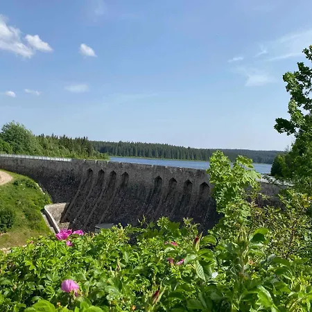 アパート Ferienapartments Foersterei アイベンシュトック